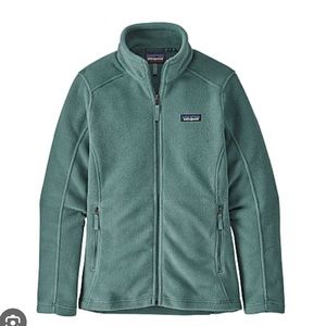 Classic Synchilla Jacket in Green